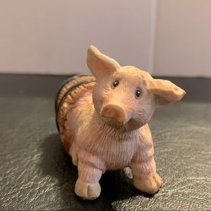 Adorable little pig in a barrel